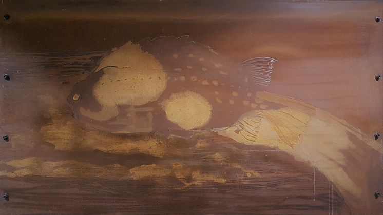 Akvaplan-niva har arbeidet med rognkjeks siden 2011, innen forskning, stamfiskproduksjon og rådgivning. Dette er bakgrunnen for dette kunstverket av Kjeld Nash i våre lokaler i Tromsø.