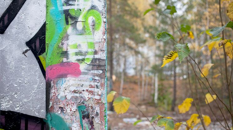 5 miljoner i stöd till Konstfrämjandets projekt Skogen mellan oss