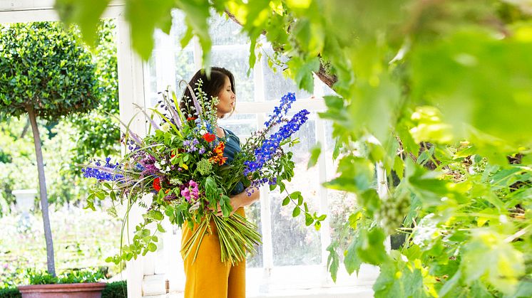 Blommor i Vinhuset 