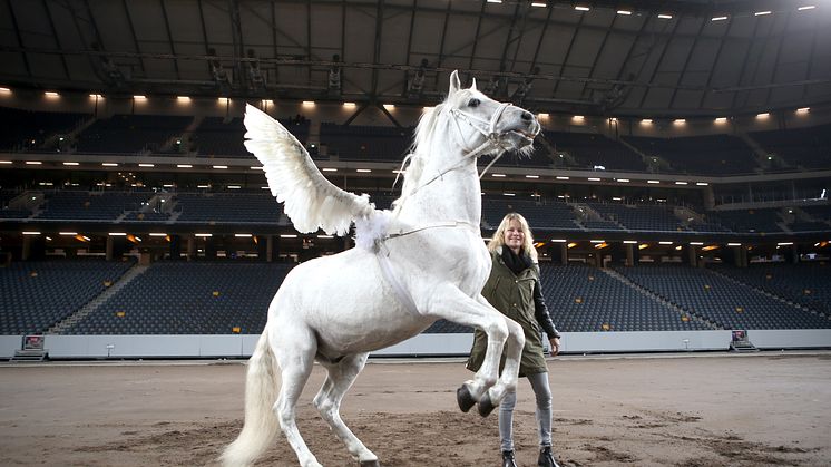 Formstarka ryttare lyfter Sweden International Horse Show