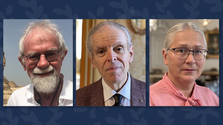 Stig Welinder, professor i arkeologi, tilldelas Gustaf Adolfsmedaljen med Konungens medgivande 2024. Professor Hans Kronning tilldelas Akademiens förtjänstmedalj i guld och tillsynsperson Irina Romanenko Akademiens förtjänstmedalj i silver.