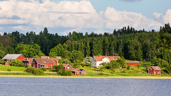 Foto: Thomas Adolfsén/Scandinav Bildbyrå