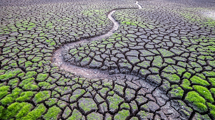 Digitalt expertmöte när IPCC:s utvärderingsrapport ska färdigställas