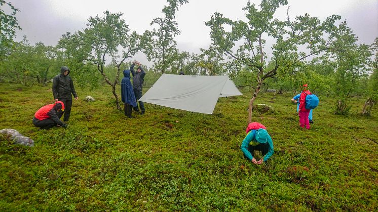 Kollektiv riskhantering, så kallad Participatory risk management, bygger på tillit och att alla tar ansvar för varandra.