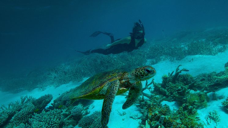 Deep Dive Australia, Love Nature