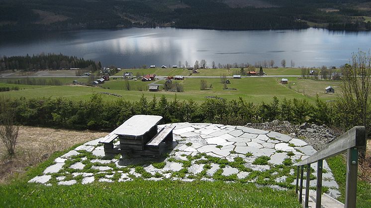 Tyréns utreder klimatförändringarnas effekter i Västerbotten