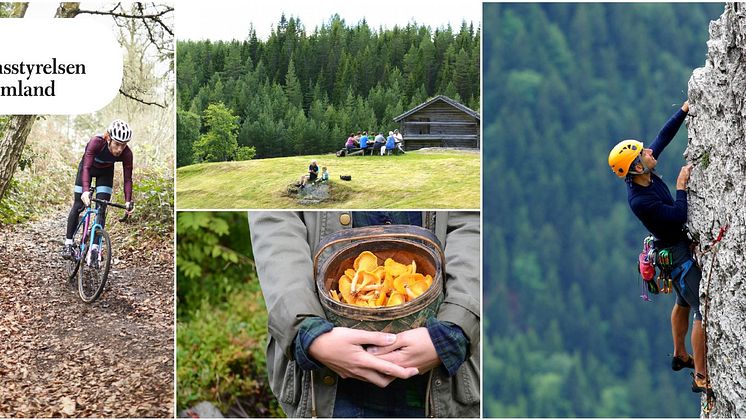 Dialog för en hållbar naturturism i Värmland