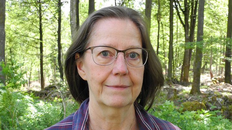 Lilian Ryd, hedersdoktor vid Luleå tekniska universitet