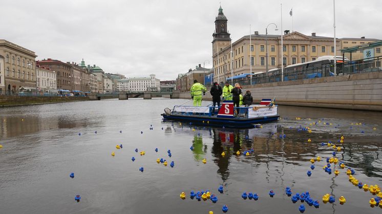 M/S Ren-Ström värmde upp med att städa upp ankor i kanalen.