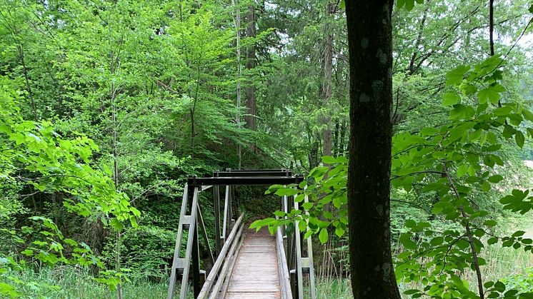 20220802_Brückensanierung bei Altusried