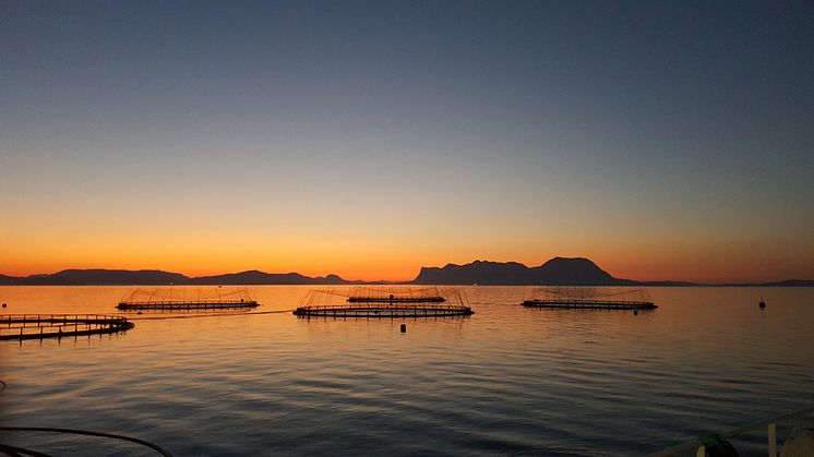 Sola har snudd og det går mot lysere tider her i nord. På nyåret er Akvaplan-niva klar for å levere akvakultur-tjenester etter den nye NYTEK23 forskriften (Foto: Vegar Johnsen).