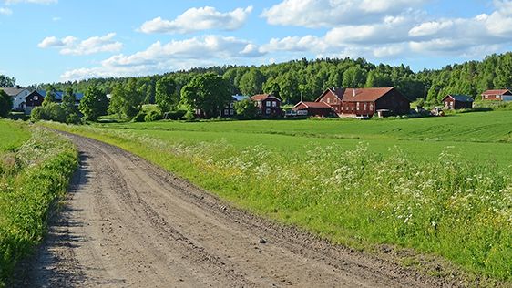 Utbytesstudenter på läkarprogrammet till glesbefolkade områden