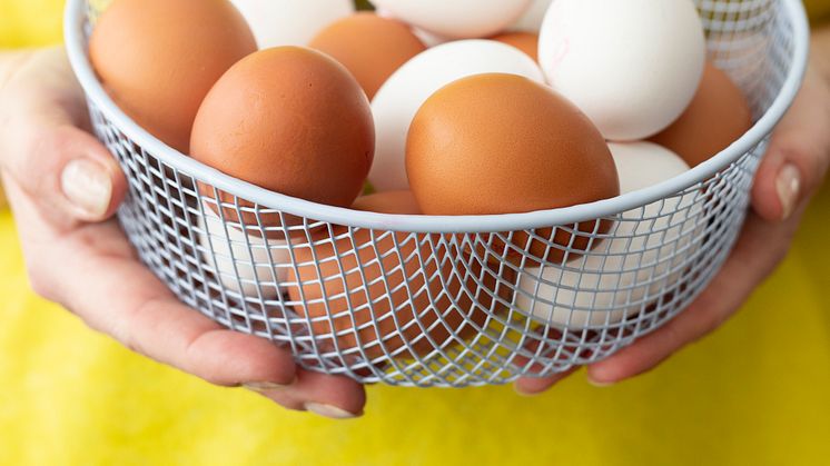 Ägget, som innehåller alla näringsämnen kroppen behöver (förutom C-vitamin), är en utmärkt källa till D-vitamin.