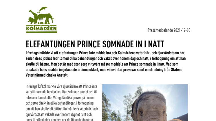 Elefantungen Prince somnade in i natt.pdf