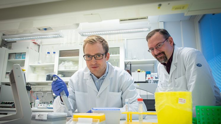 Henrik Green och Niclas Björn studerar hur genetiska faktorer påverkar individens känslighet för biverkningar av cancerbehandlingar.