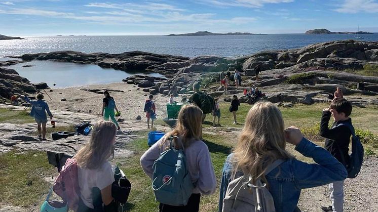 Det fantastiske havet! Sommerskole på Geitmyra Kristiansand 