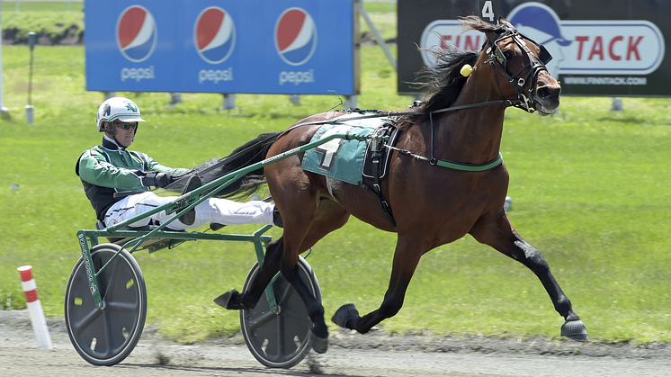 Spela på Elitloppet Playoff den 6 maj