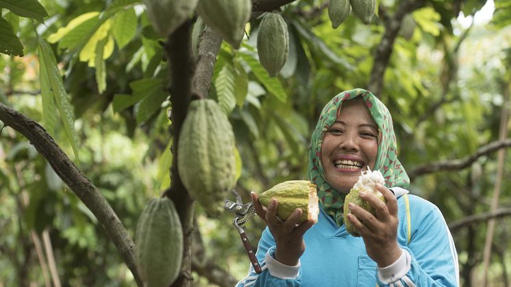 Sustainability Cocoa Life