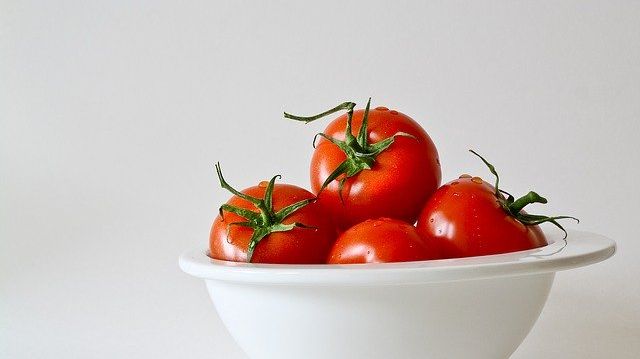 Att kasta tomater kring ett förlorat vårdval klär inte en styrande allians