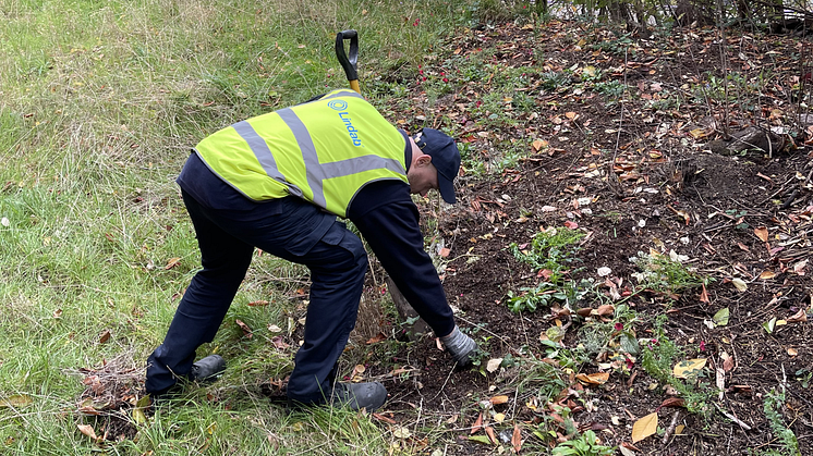 Our Leeds branch team became gardeners for the day.