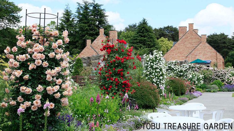 Tobu Treasure Garden(3)