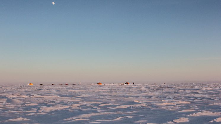 Grönland 2015 fältlägret