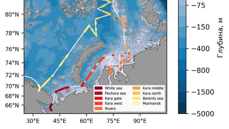 Floating macro litter observed transects in White, Kara and Barents seas