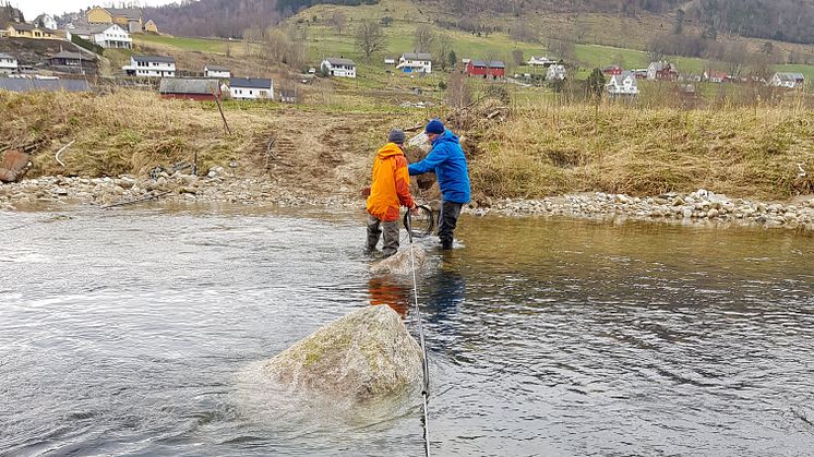 Cautus Geo har etablert måleutstyr i lakseelver i Hardanger for dokumentasjon av vandringer til ørret og laks. 
