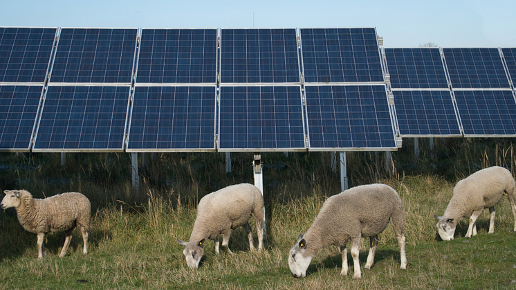 A new toolkit has been developed to support rural communities with the development of renewable energy projects. Photo: Adobe Stock