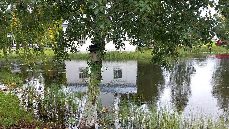 Översvämning