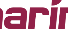 Logo - Raymarine