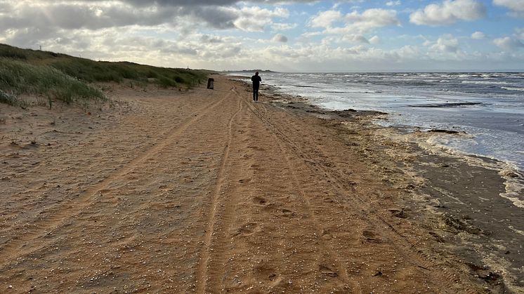 Där personen står skulle tävlingsbanan ha varit. Som synes är det alldeles för nära vattnet, därför flyttas tävlingen 24MX Beach Race Enduro fram. Foto: Destination Halmstad.