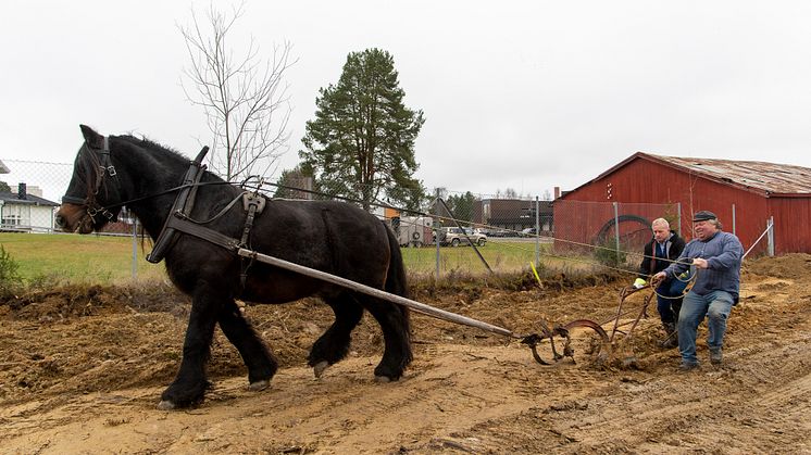 Byggestart Anno Dokumentasjonssenter med fellesmagasin