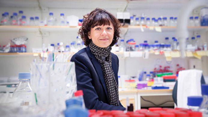 Emmanuelle Charpentier tilldelas Louis-Jeantetpriset i medicin 2015