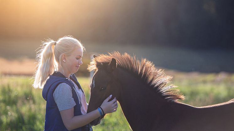 I fokus för samarbetet mellan Sveland Djurförsäkringar och ASRP, ligger att verka för fler hållbara ridponnyer på tävlingsbanorna. Foto: Sveland Djurförsäkringar