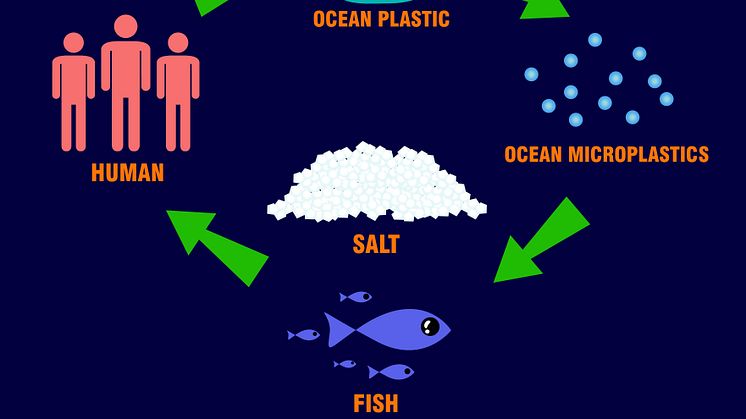 Not only does do environmental pollutants stick to microplastic surfaces but they also appear to become more toxic as a result of the interaction (Photo credit: iStock-1060396196))