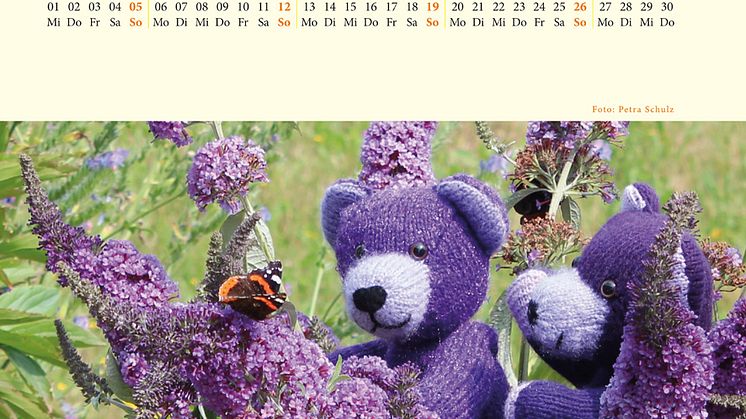 Bärenherz-Kalender für 2016 verfügbar