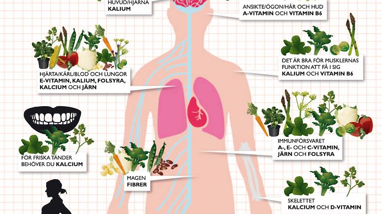 Findus dietist visar vägen bland vitaminer och mineraler - Få en piggare vår med Findus Grönsaksguide