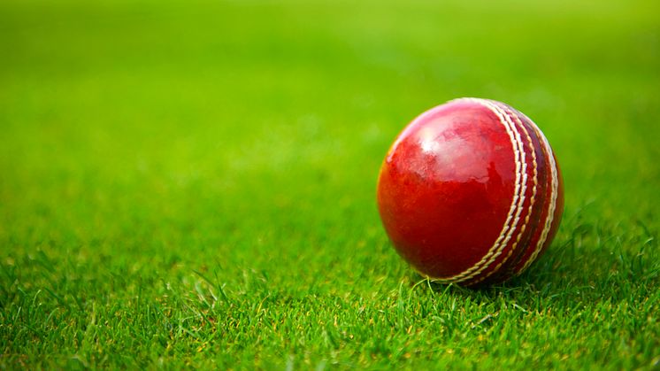 ​ECB expands Match Referee Panel 