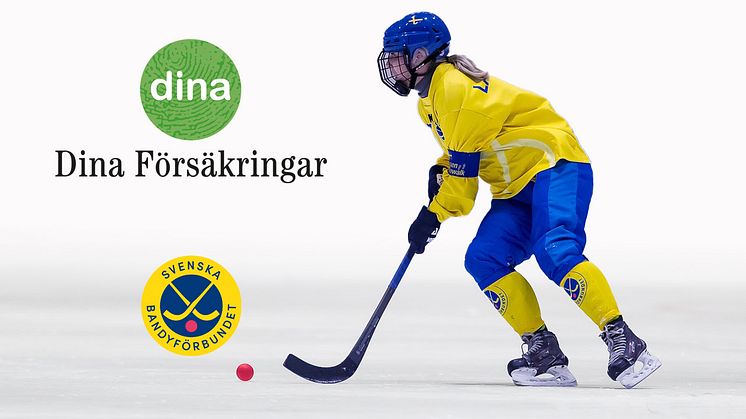 Dina Försäkringar blir huvudpartner till Svenska Bandyförbundet