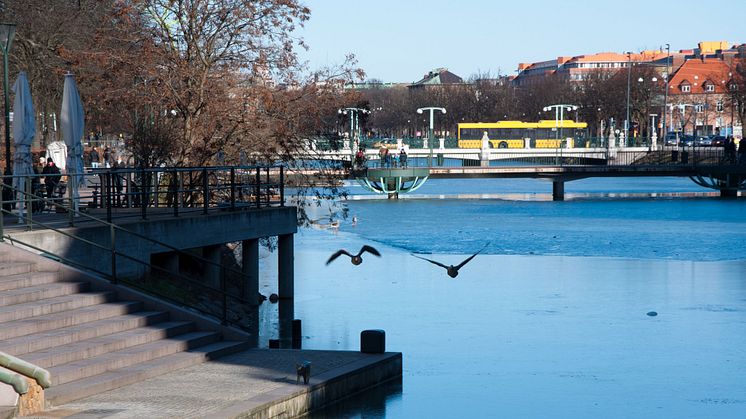 Ny busslinje förbättrar pendling till Fosie från Oxie, Vellinge och Trelleborg