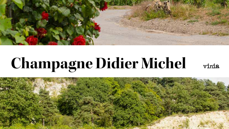 Champagne Didier Michel - Årgångs- och områdesbetecknad Grand Cru, Blanc de Blanc