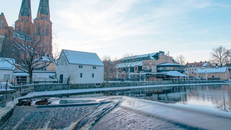 KGK slutrapporterar åtagandet i hållbarhetslöfte till Uppsala län