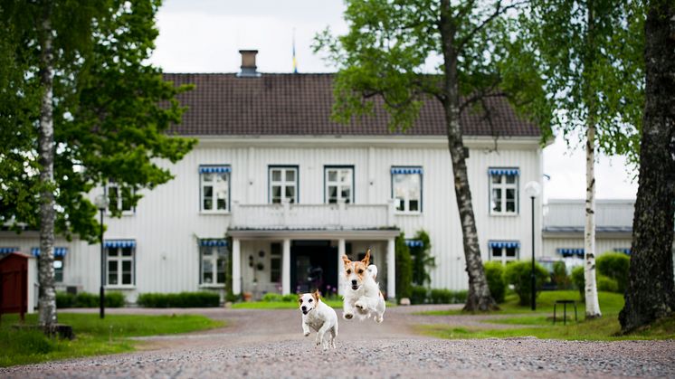 Ulvsby Herrgård. Foto: Ulvsby Herrgård