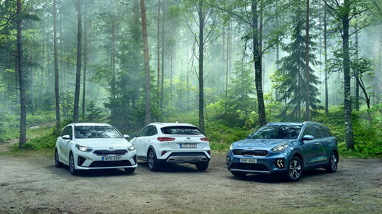 Kia Ceed-modellfamiljen och Kia Niro etta respektive tvåa på den svenska bilmarknaden i juli.