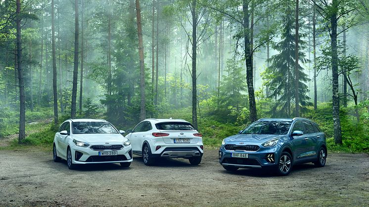 Kia Ceed-modellfamiljen och Kia Niro etta respektive tvåa på den svenska bilmarknaden i juli.