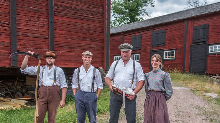 Mathias Börjesson, Adam Nilsson, Hans Nilsson och Frida Persson arbetar i Stensjö by och deltar i årets lieslåtter. Foto: Nicklas Bergström.