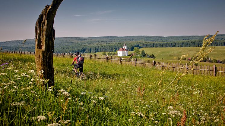 Radregion Erzgebirge (Foto Tourismusverband Erzgebirge e.V./René Gaens) 