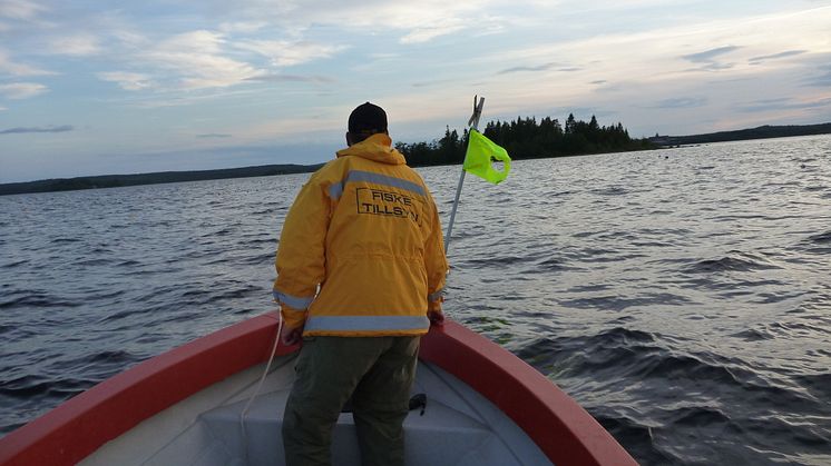 ​Hårdare tag mot tjuvfiske längs kusten