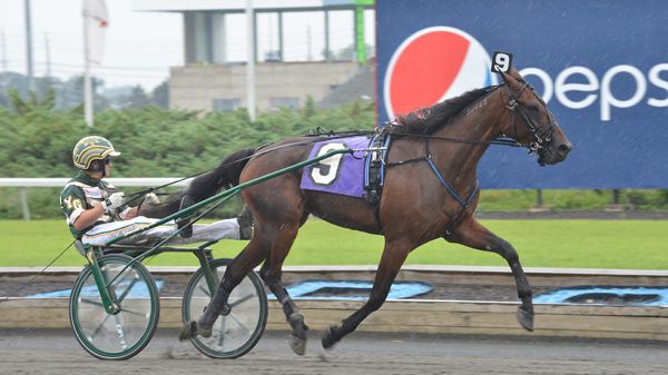 Amerikanska Maven och italienska Pascia 'Lest klara för Elitloppet.